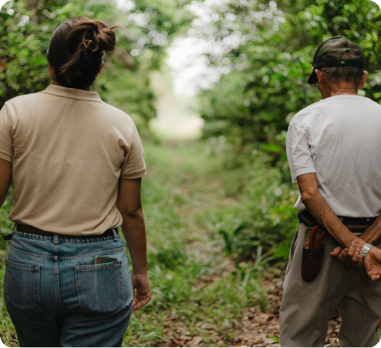 personas caminando en una plantacion